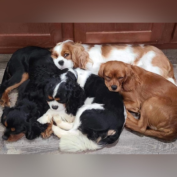 Meet your Posher, Sarah - Picture 14 of 16